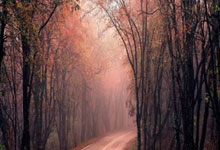 黑白体育直播：父亲：小基耶萨在利物浦非常开心；不后悔他去英格兰踢球.