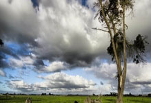 黑白体育直播：亚细安足球锦标赛 越南首回合击退泰国.