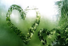 泰伦卢实在不行就走吧！2用人主导败局，攻守体系拉胯，没救了！.